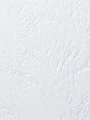 Desky pro vazbu "LeatherGrain", bílá, kožený vzhled, A4, 250 g, GBC OFERTA office vše pro kancelář Objednat Nyní