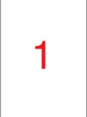 Akční Cena Etiketa, ILC, 210x290 mm, 10 ks/bal., APLI OFERTA office vše pro kancelář