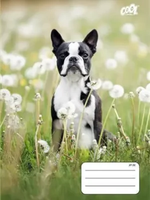 Značkový Sešit "B&W dogs", 27-32, mix motivů, A5, čtverečkovaný, 32 listů, COOL BY VICTORIA OFERTA office vše pro kancelář