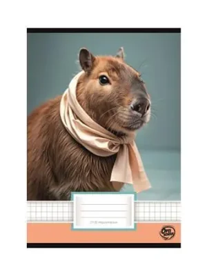 Kup Teď Sešit "Capybara", 27-32, A5, čtverečkovaný, 32 listů, OPTISCHOOL 27I2732-022 OFERTA office vše pro kancelář