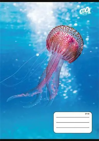 Časově Omezené Sešit "Ocean World", 27-32, mix motivů, A5, čtverečkovaný, 32 listů, COOL BY VICTORIA OFERTA office vše pro kancelář