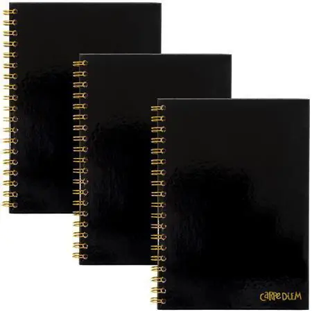 Akční Nabídka Spirálový sešit "Carpe Diem", černá, B5, linkovaný, 80 listů, FSC, PUKKA PAD 9375-CD OFERTA office vše pro kancelář