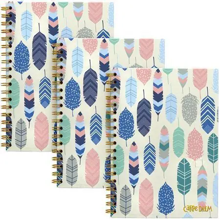 Kup Teď Spirálový sešit "Carpe Diem", motiv s peřím, B5, linkovaný, 80 listů, FSC, PUKKA PAD 9379-CD OFERTA office vše pro kancelář