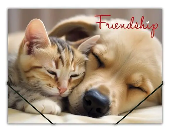 Akční Cena Desky s gumičkou "Friendship", A4, 15 mm, PP, PANTA PLAST OFERTA office vše pro kancelář