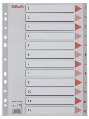 Rejstříky, šedá, A4, plast, 1-12, ESSELTE OFERTA office vše pro kancelář Finální Výprodej