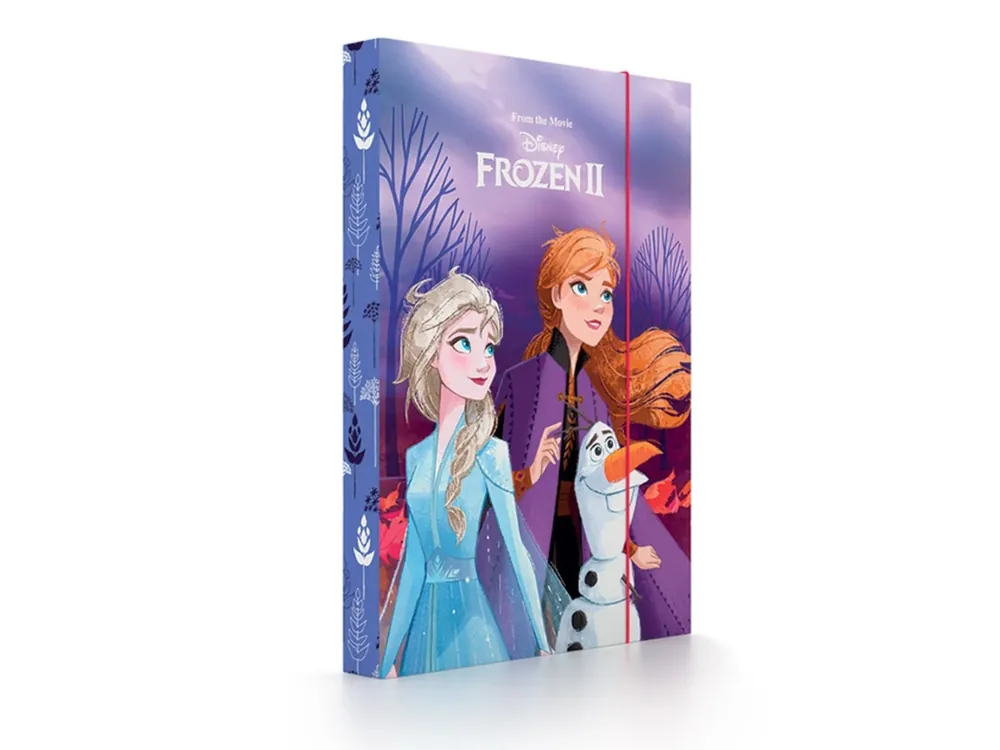 Box na sešity A5 Frozen - Toppapír Oblíbený