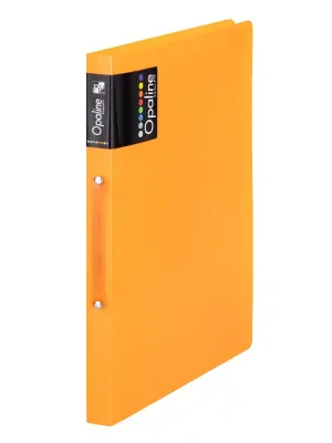 2kroužkový pořadač A4 20mm PP oranžový (Poprokan.cz) Novinka